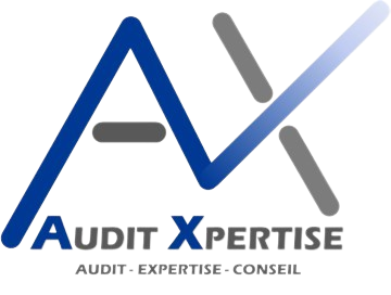 LOGO AUDIT XPERTISE
