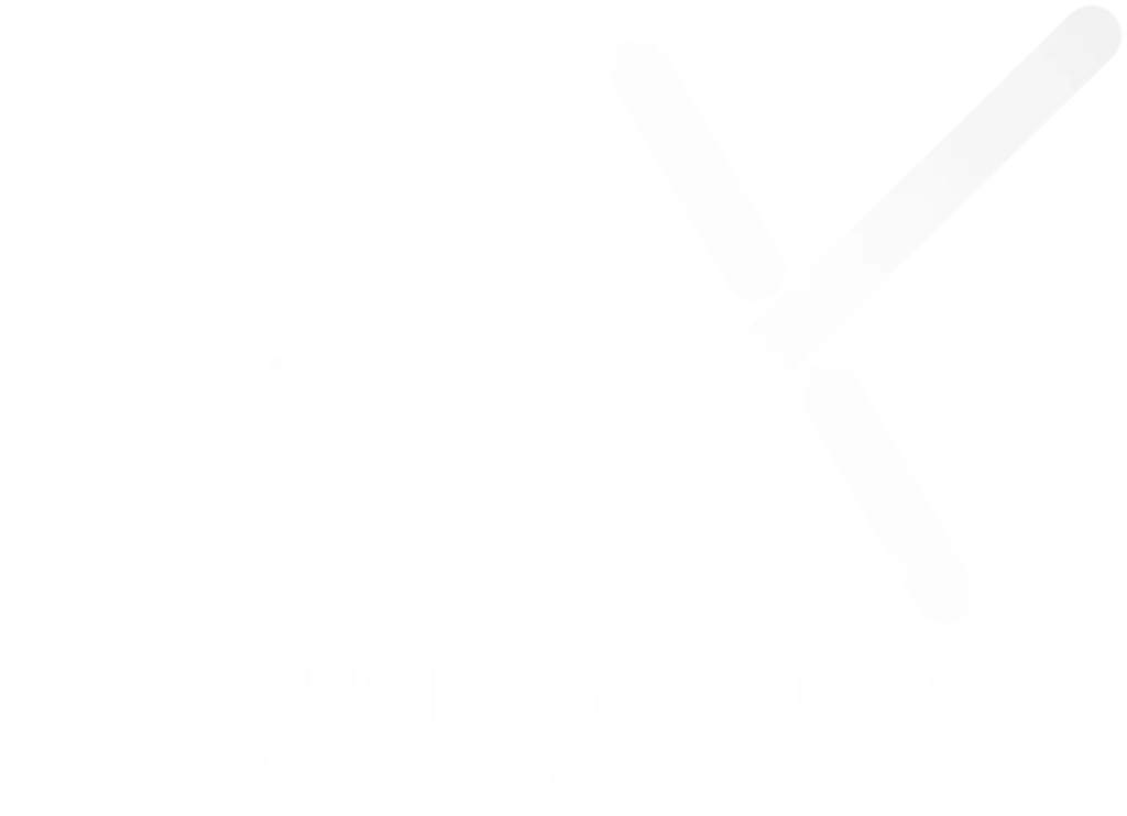 logo Audit Xpertise