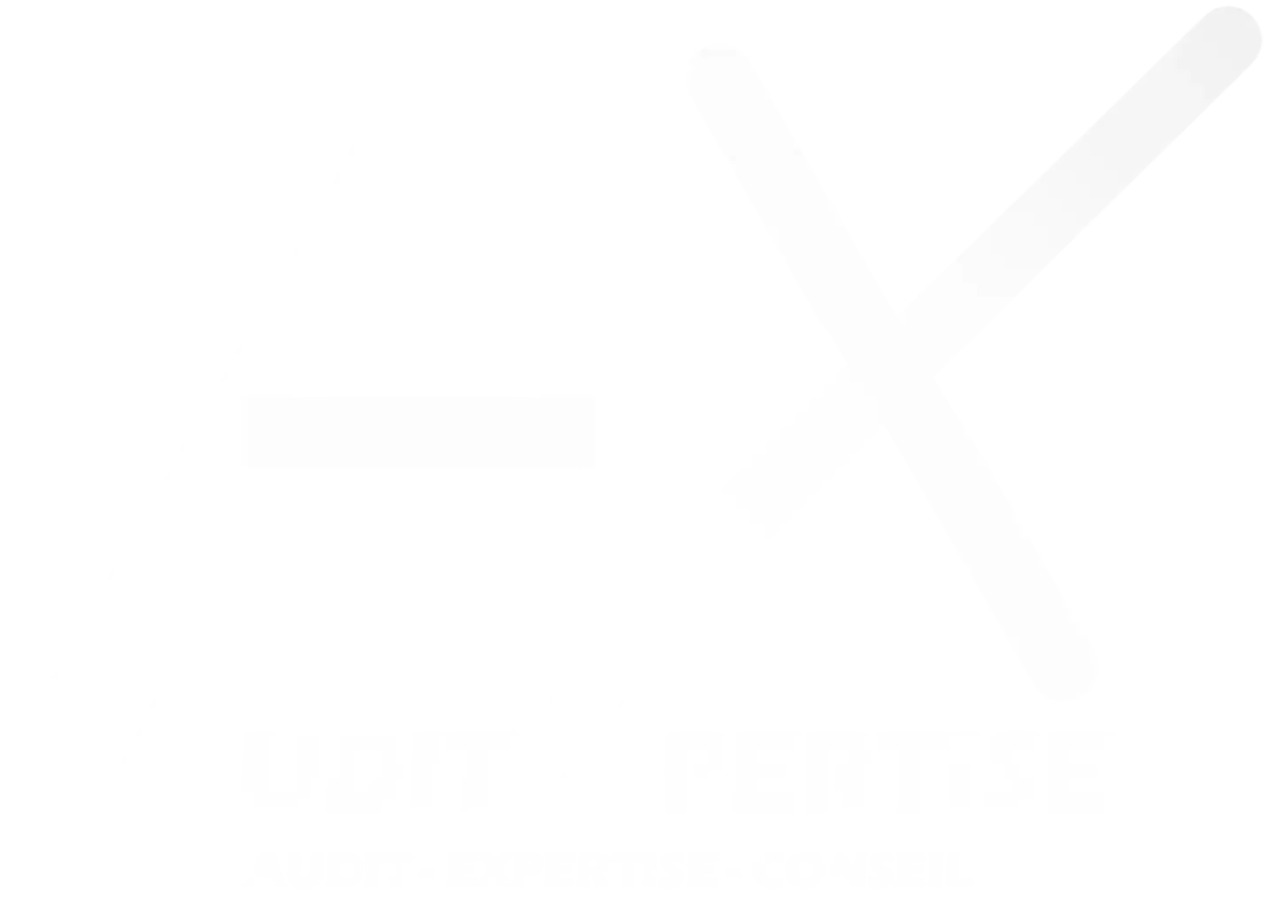 logo Audit Xpertise