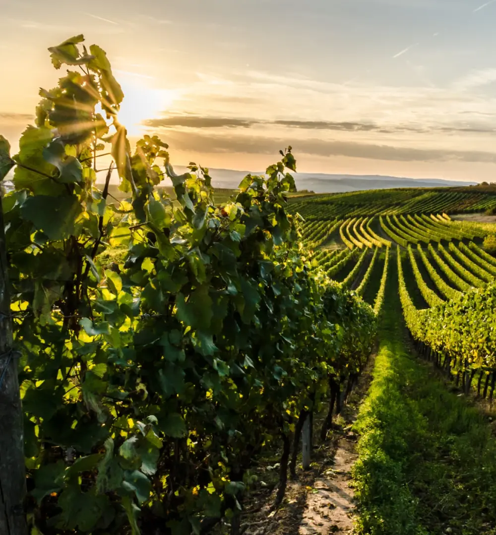 cabinet comptable et finances agricole