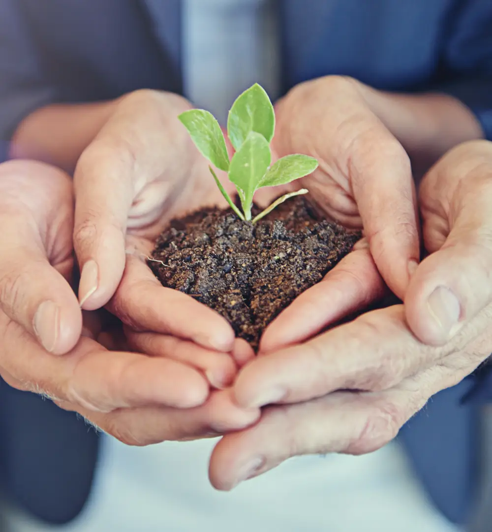 croissance entreprise valence